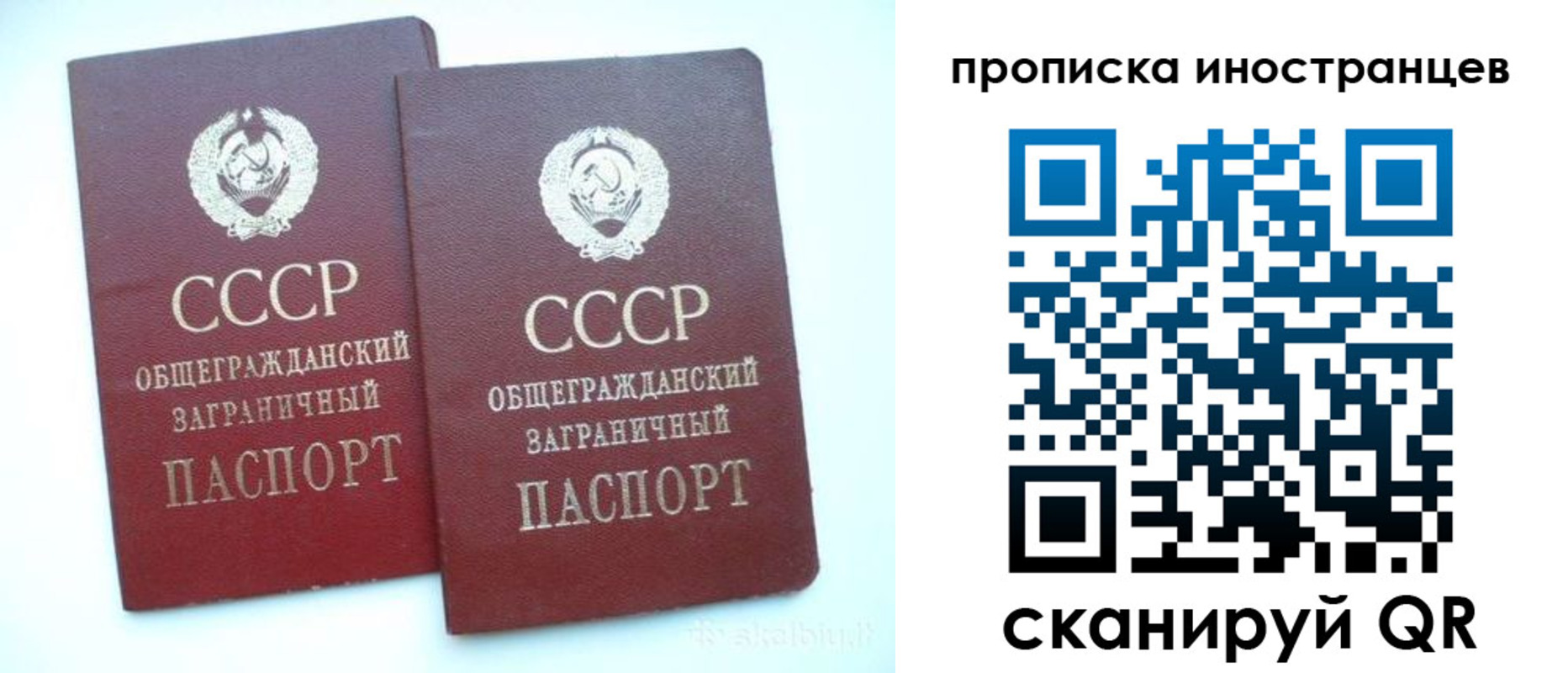 временная регистрация госуслуги в Благовещенске